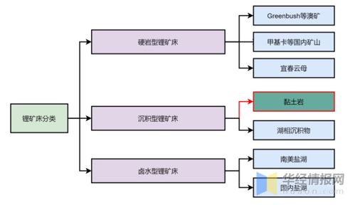 鋰資源行業(yè)發(fā)展現(xiàn)狀及未來趨勢 中國依賴海外進口與信息化支持服務的重要性